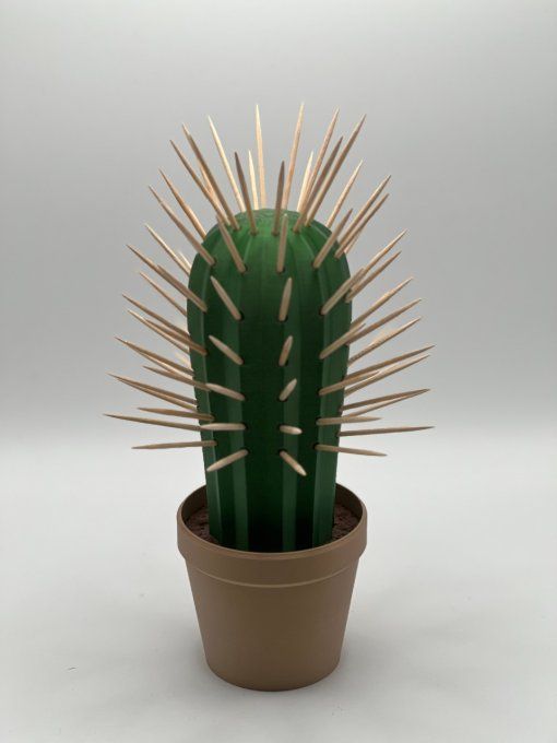 Cactus "Piques Apéro"