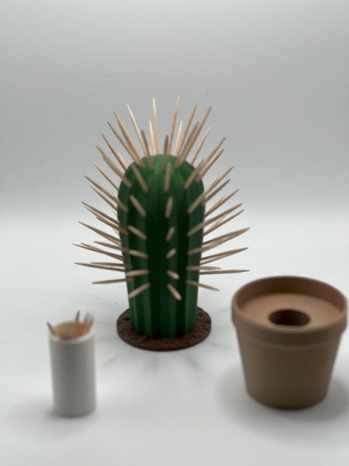 Cactus "Piques Apéro"