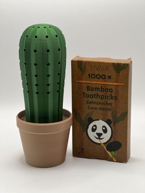 Cactus "Piques Apéro"