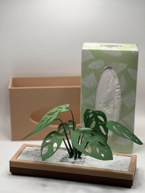 Boite Mouchoirs Longue "Monstera"