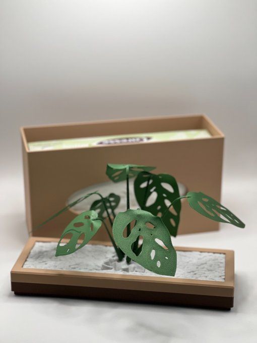 Boite Mouchoirs Longue "Monstera"