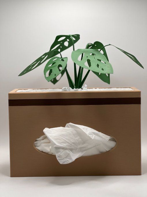 Boite Mouchoirs Longue "Monstera"