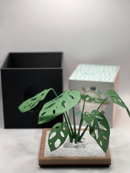 Boite Mouchoirs Cube "Monstera"