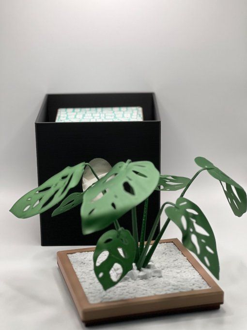 Boite Mouchoirs Cube "Monstera"