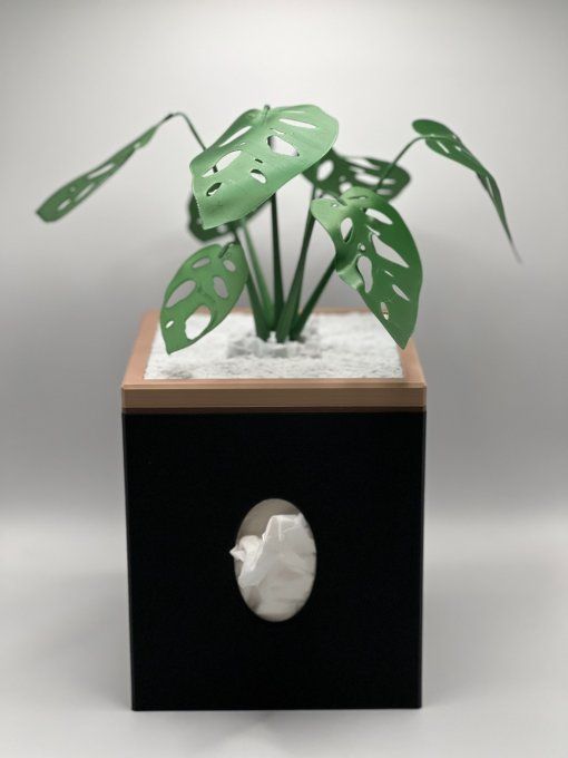 Boite Mouchoirs Cube "Monstera"