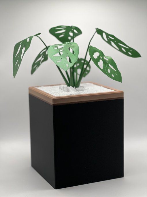 Boite Mouchoirs Cube "Monstera"